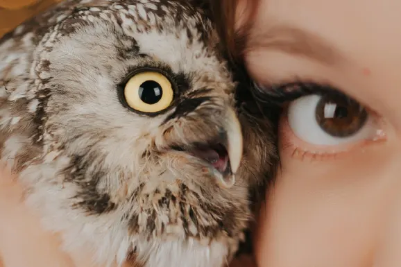 كازينو لوكي تايجر الدعم